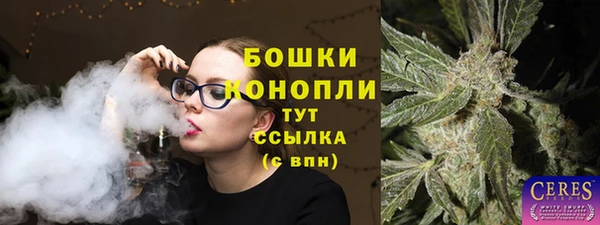 твердый Михайловск