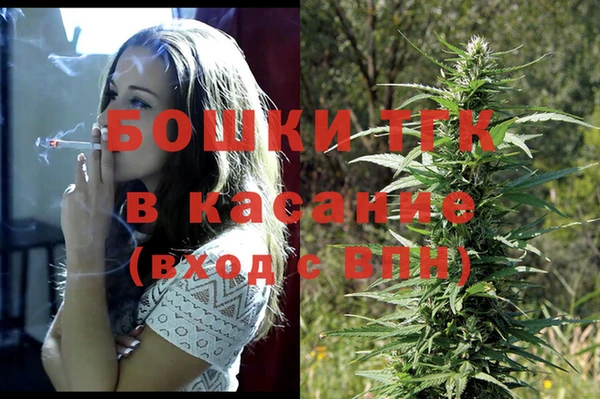 ПСИЛОЦИБИНОВЫЕ ГРИБЫ Болотное