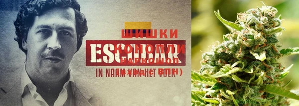 дурь Михайлов