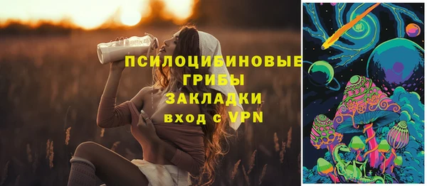твердый Михайловск