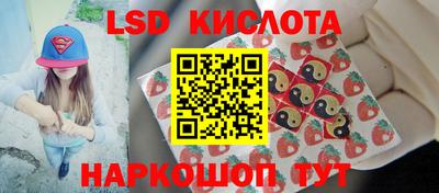 спайс Гай