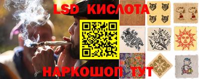 спайс Гай