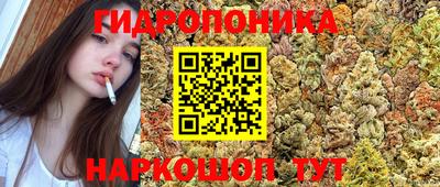 мяу мяу кристалл Гагарин