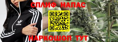 спайс Гай