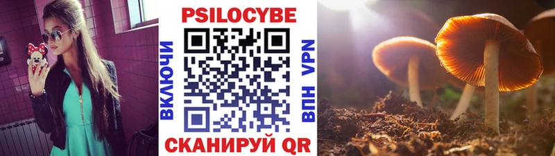 Псилоцибиновые грибы Magic Shrooms  дарнет шоп  Коряжма 