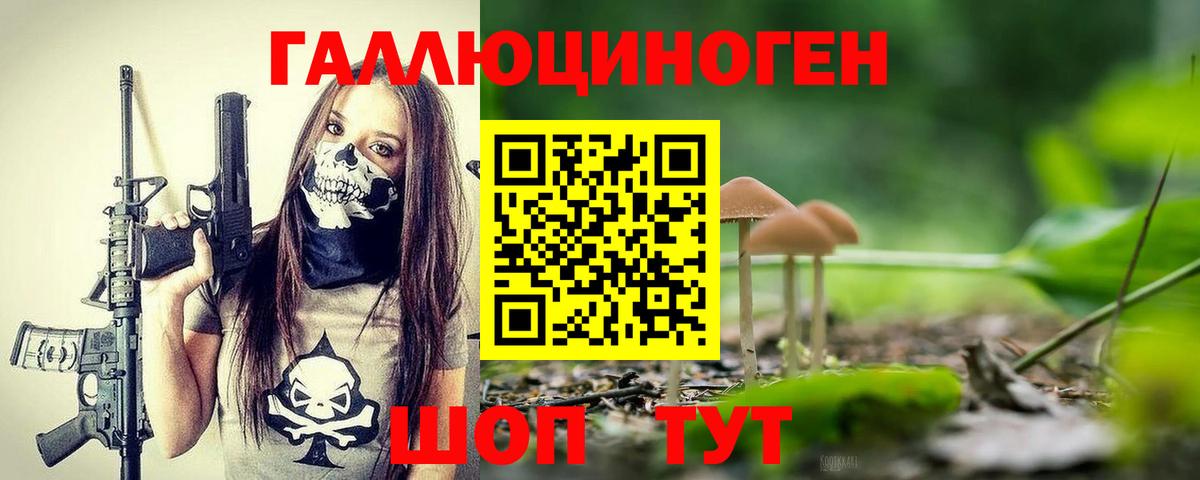 Коряжма  Галлюциногенные грибы мицелий  Вход с VPN 